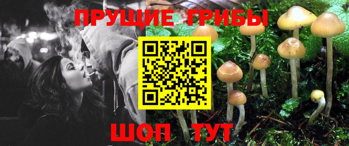 Псилоцибиновые грибы MAGIC MUSHROOMS Туймазы